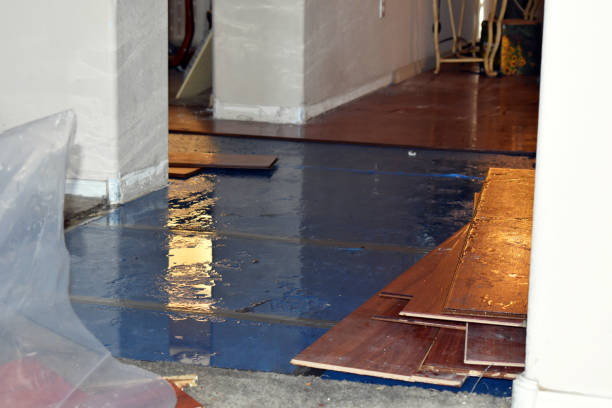 Professional Storm Water Damage Restoration technician working in Gaston, OR